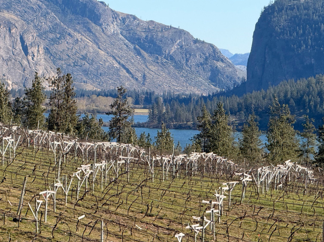 Bighorn Ridge Guest House主图