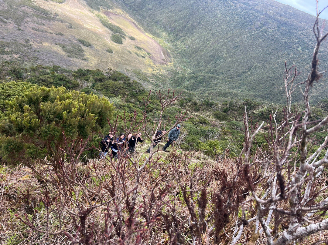 Endemic Azores-奥尔塔必去景点