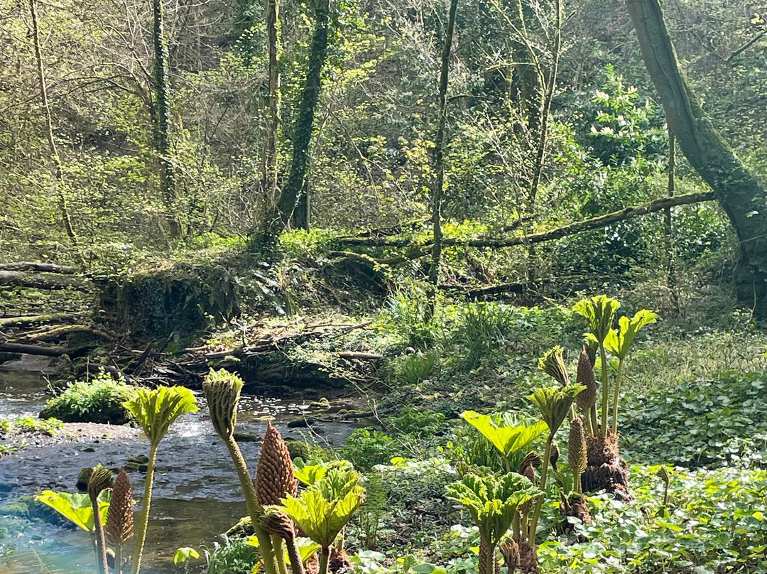 Plas Cadnant Hidden Gardens-Menai Bridge必去景点