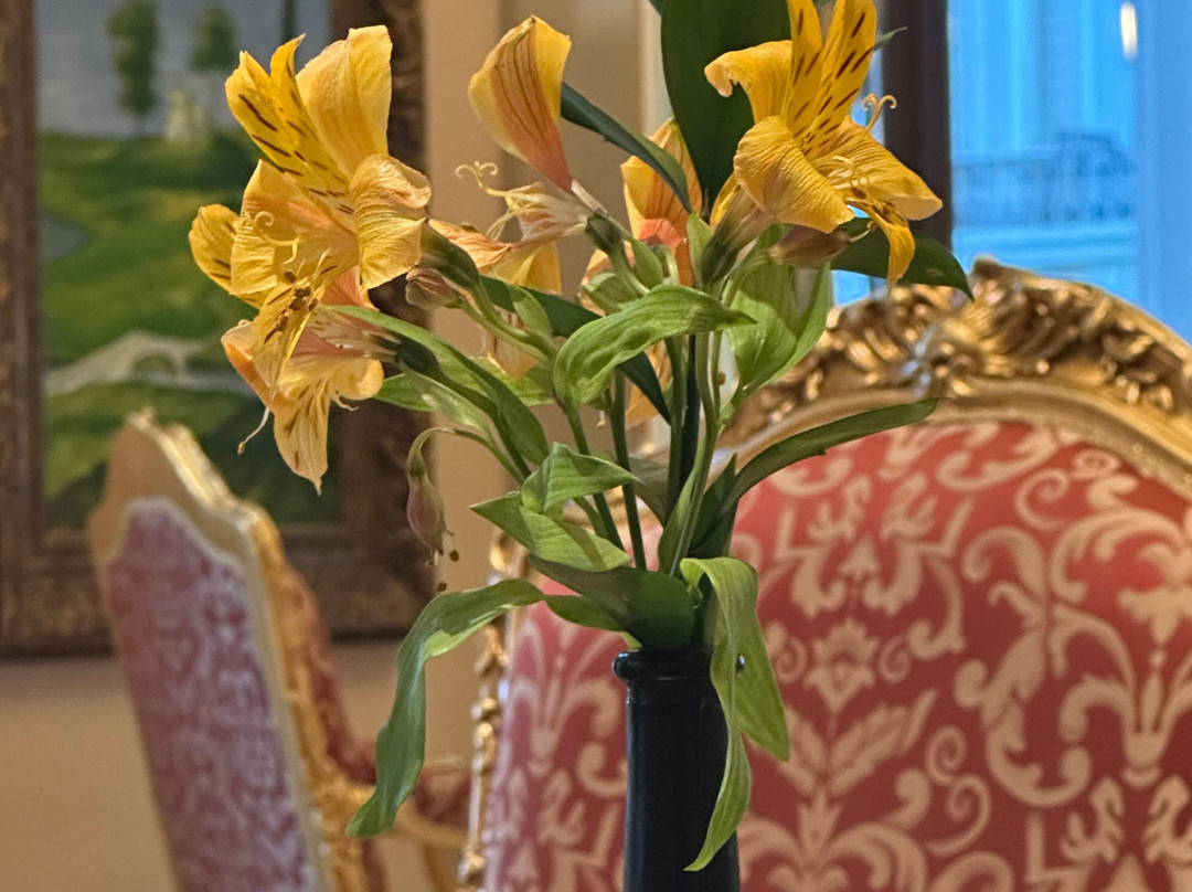 泰坦尼克号马尔丹宫酒店主图