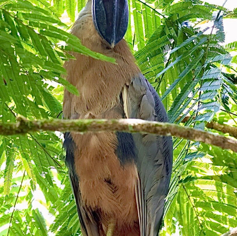 Costa Rica Focus-圣何塞必去景点