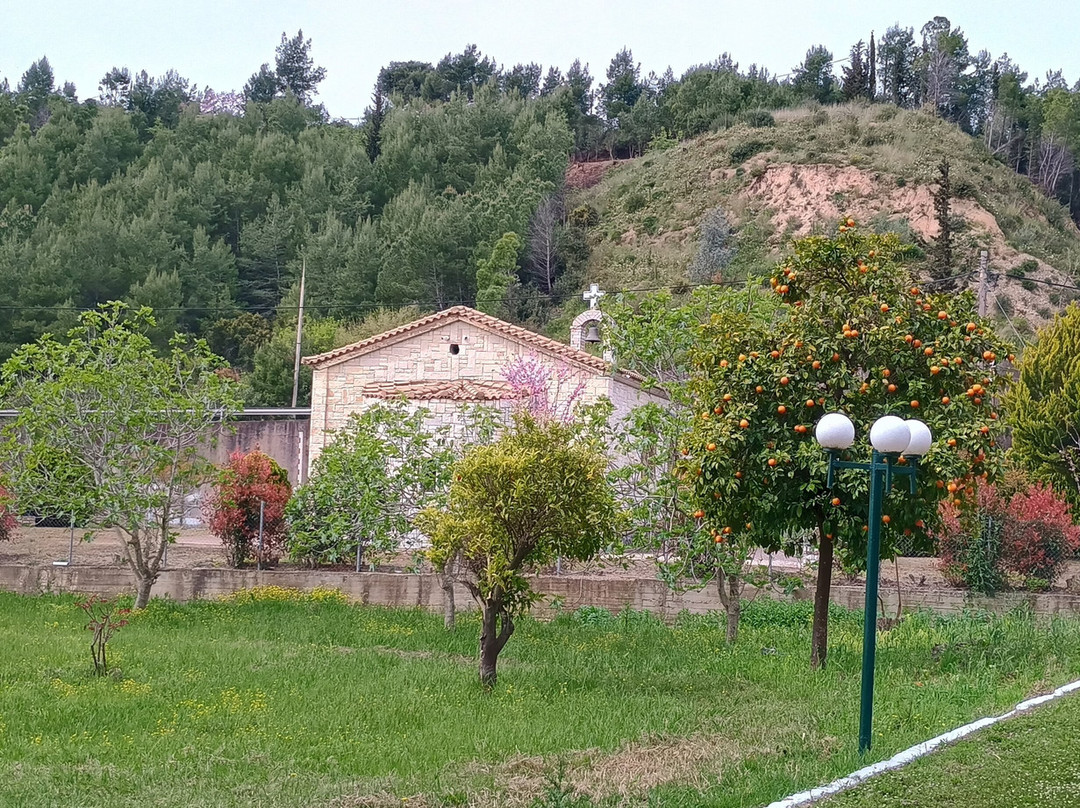 奥林匹亚阿玛利亚酒店主图