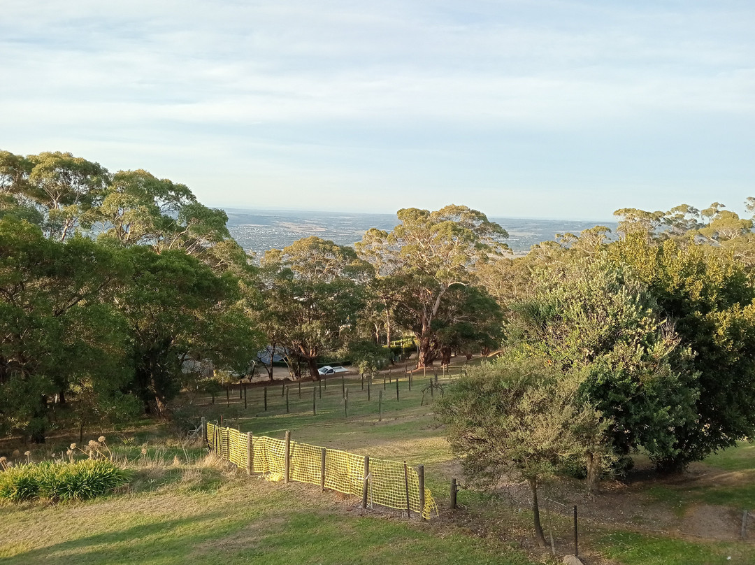 Arthurs Seat Eagle-Arthurs Seat必去景点