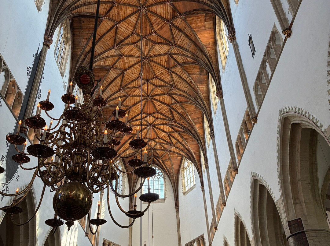 Sint-Bavokerk (Church of St. Bavo)-哈勒姆必去景点