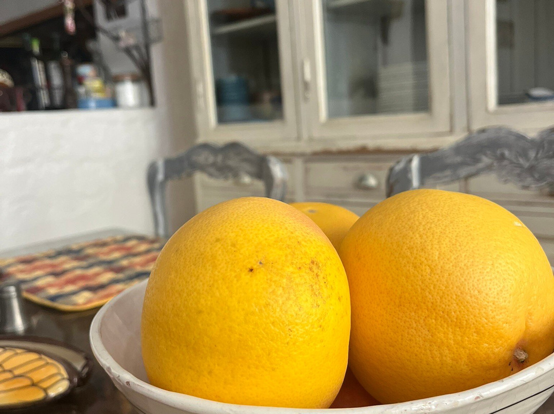 Gite Fa Mille Maison Bleu主图