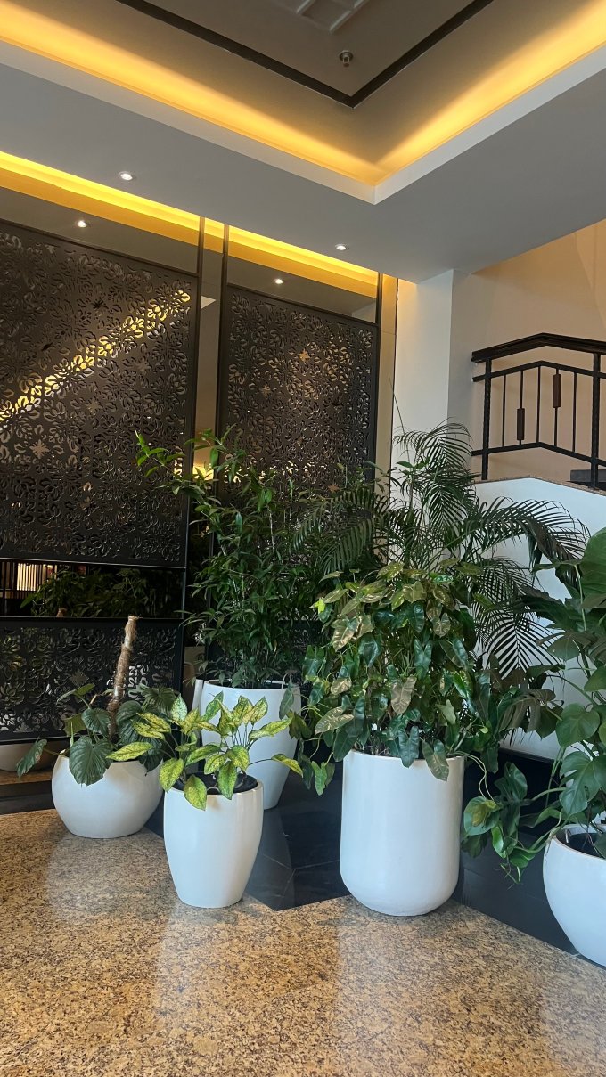 北干巴鲁祖瑞尊享酒店-旅行者