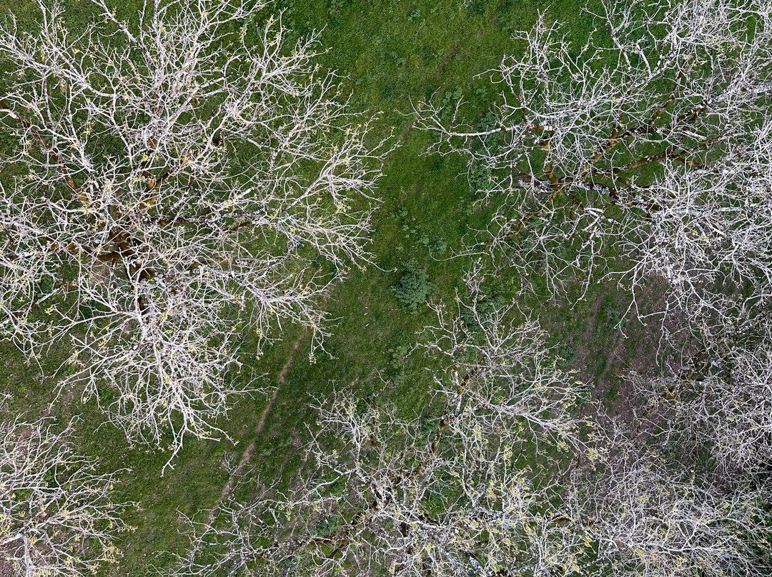 Perigord Dordogne Montgolfieres-Castelnaud-la-Chapelle必去景点