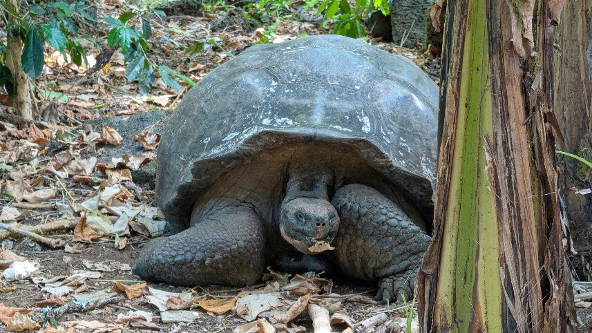 塞米拉维尔德精品酒店主图