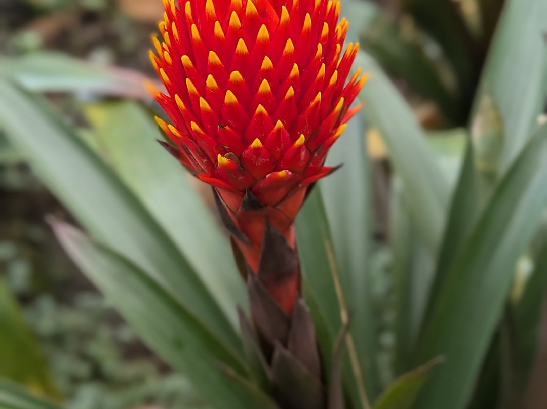 RHS Garden Wisley-Wisley必去景点