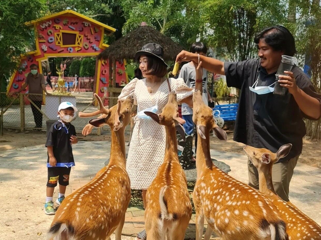 Veneto-愿拼县必去景点