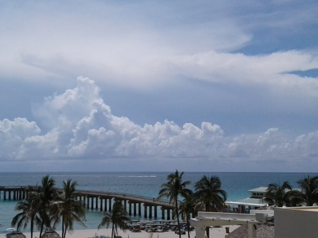 阳光迈阿密阳光岛海滩希尔顿格芮精选酒店主图