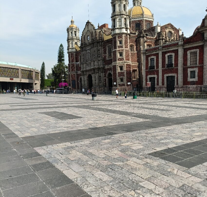 瓜达卢普圣玛利亚大教堂-墨西哥城必去景点