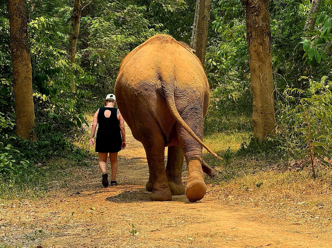 Elephant Haven-柿约必去景点