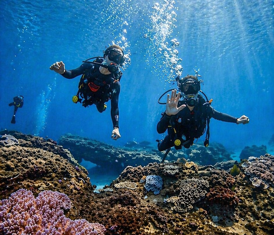 Pisces Diving Sodwana Bay-索德瓦纳必去景点