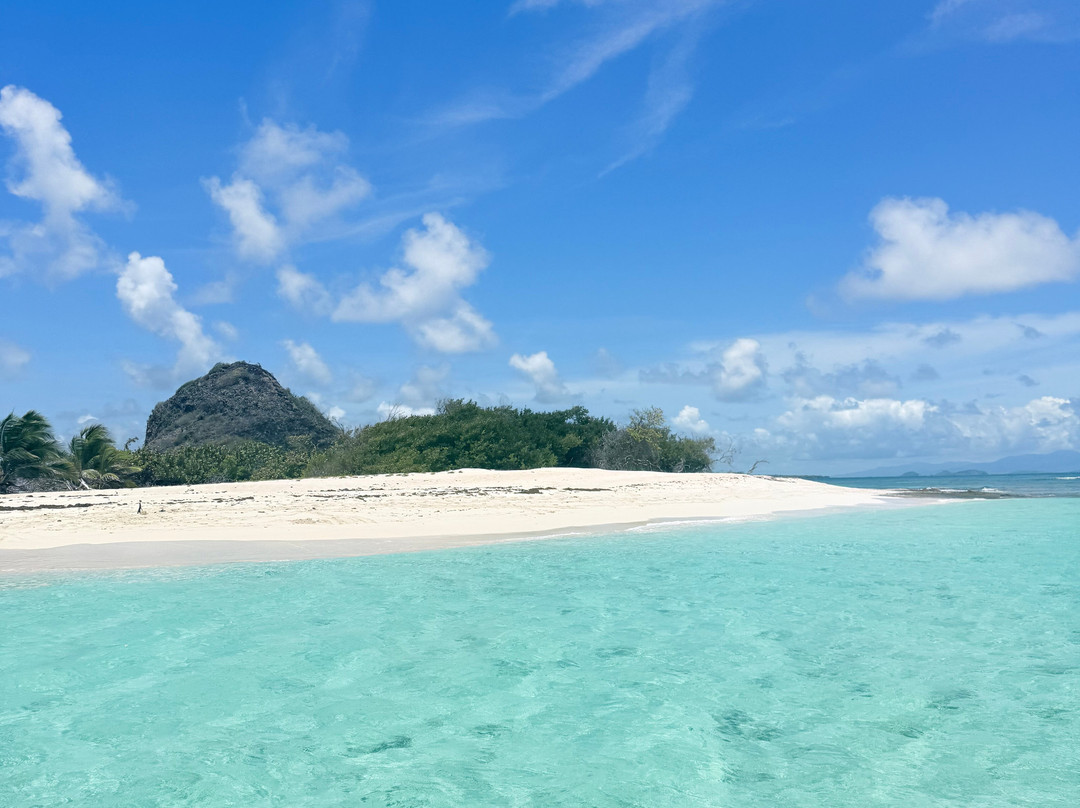 Froggy's Reef Tours and Snorkeling Carriacou-Carriacou Island必去景点