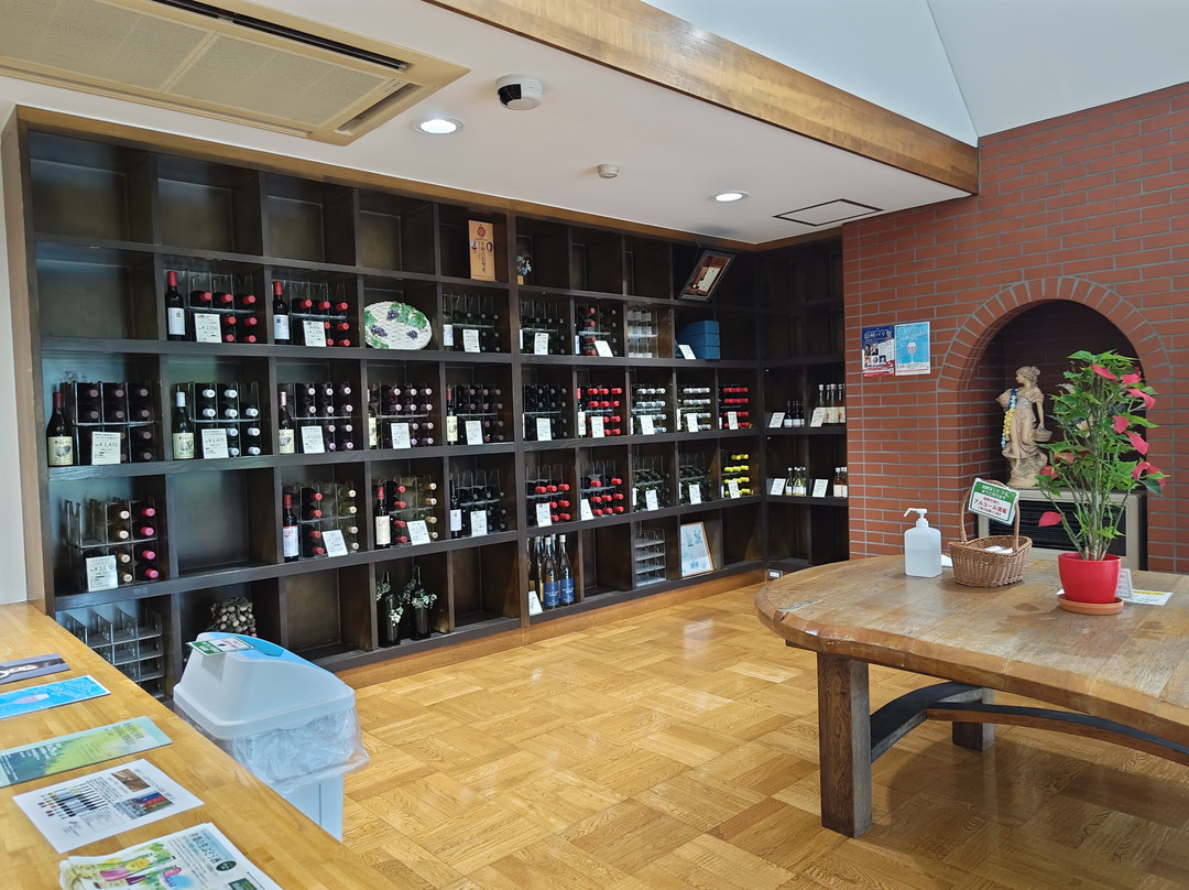 Izutsu Wine-盐尻市必去景点