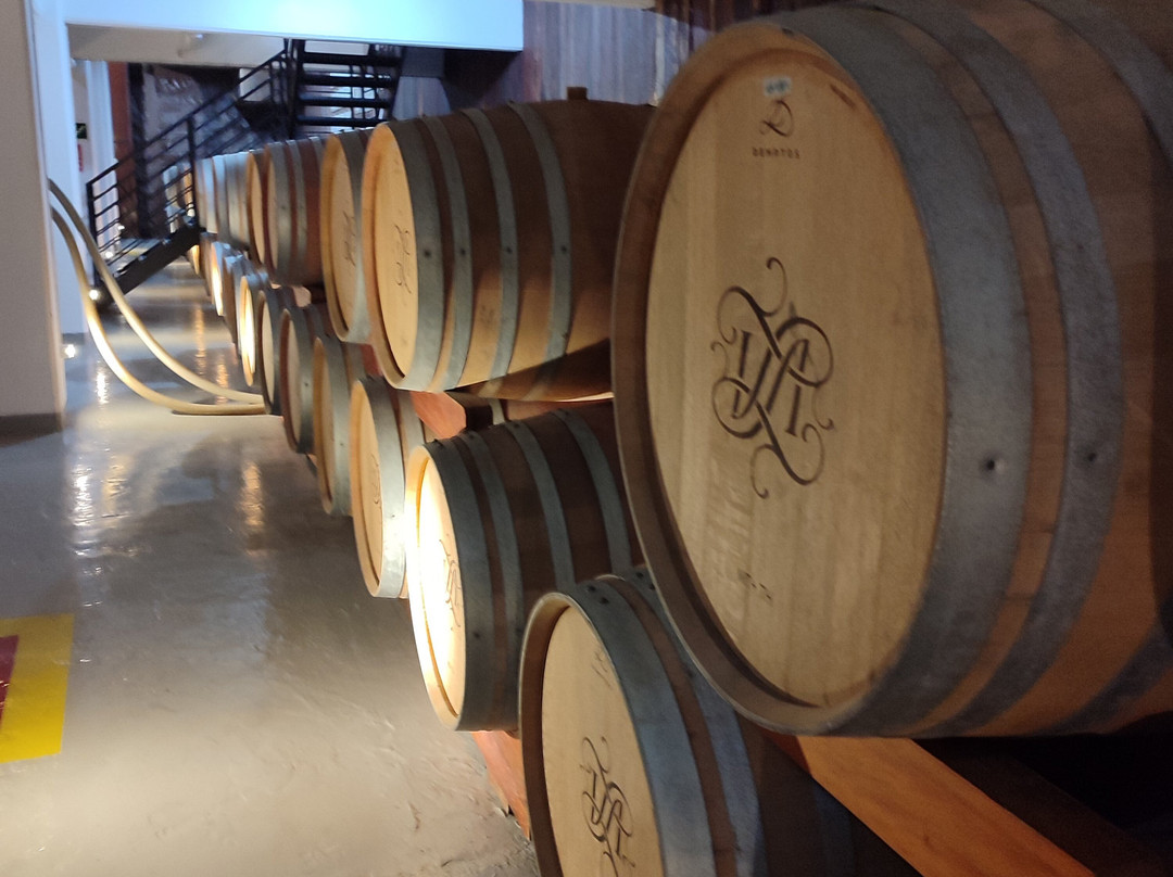 Aurora Winery-本图贡萨尔维斯必去景点