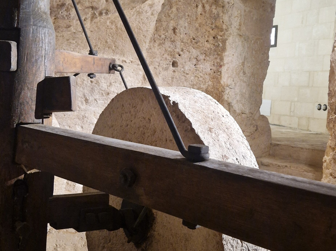 MOOM Matera Olive Oil Museum-马泰拉必去景点