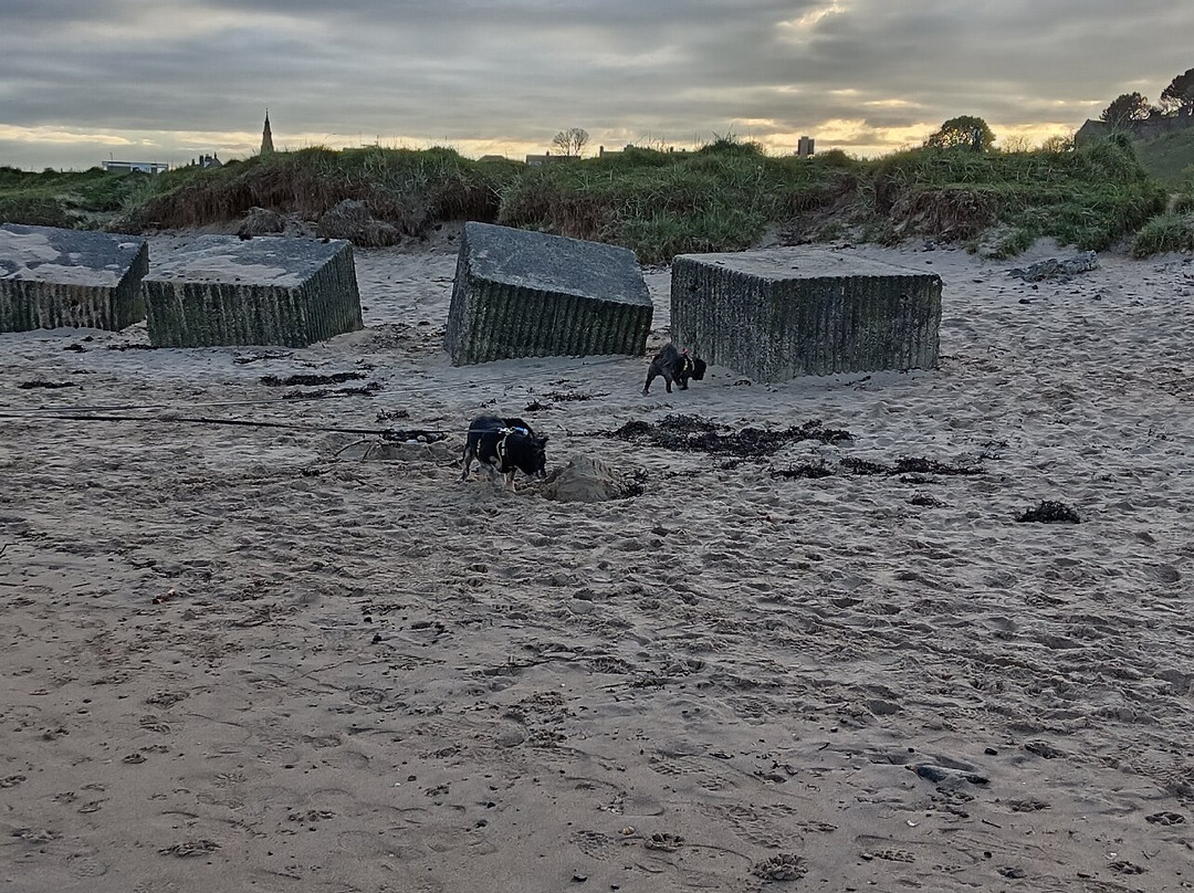 Alnmouth Beach-Alnmouth必去景点