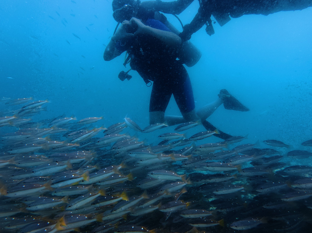 Gypsy Divers Dive Resort-哈夫洛克岛必去景点