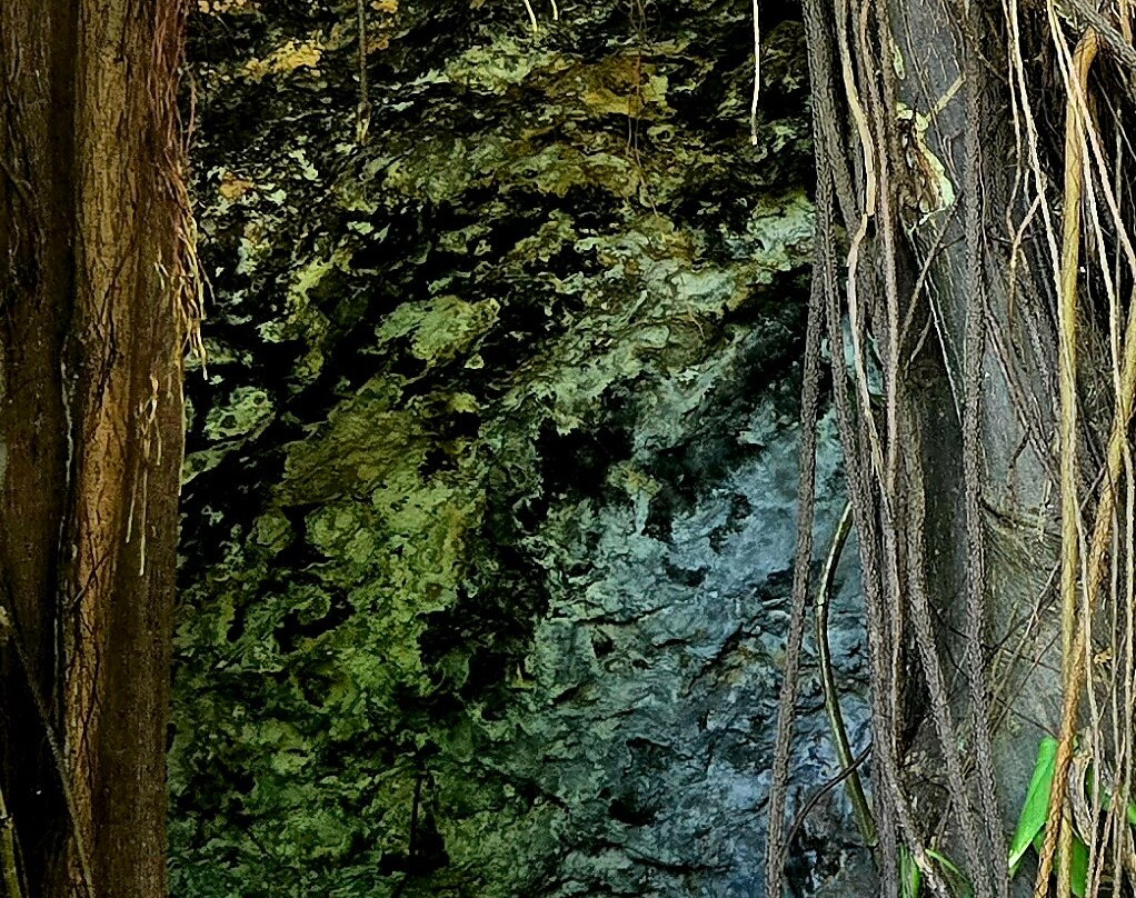 Konoko Falls & Park-奥乔里奥斯必去景点