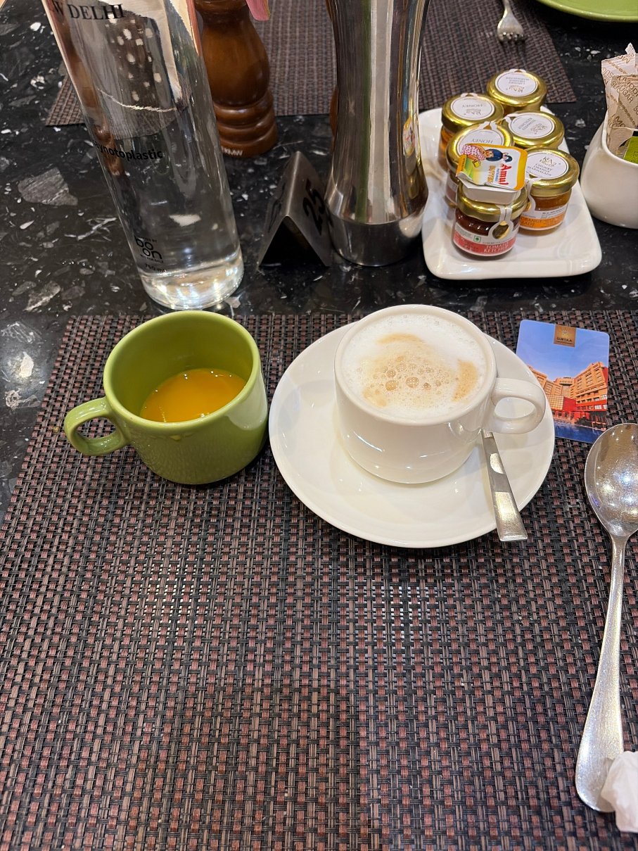 新德里苏亚度假酒店-旅行者