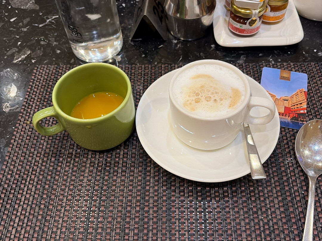 新德里苏亚度假酒店主图