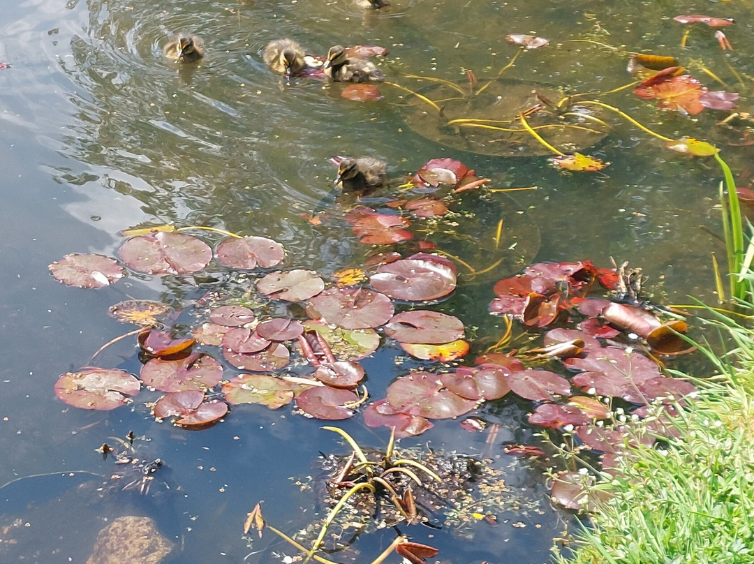 Denmans Garden-Fontwell必去景点