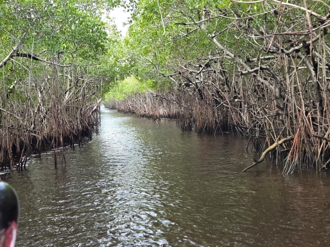Captain Jack's Airboat Tours-大沼泽地必去景点