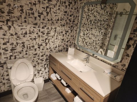 布莱斯伍德希尔顿惠庭酒店-旅行者