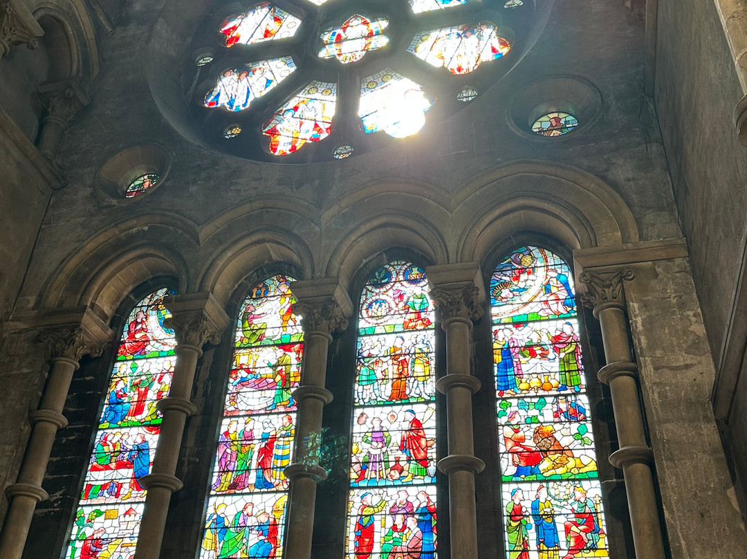 St Fin Barre's Cathedral-科克必去景点