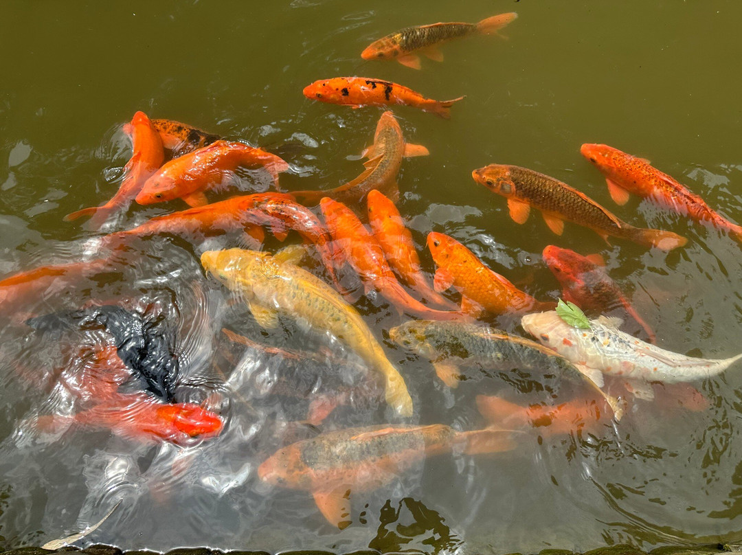 景德镇陶瓷民俗博览馆-景德镇市必去景点