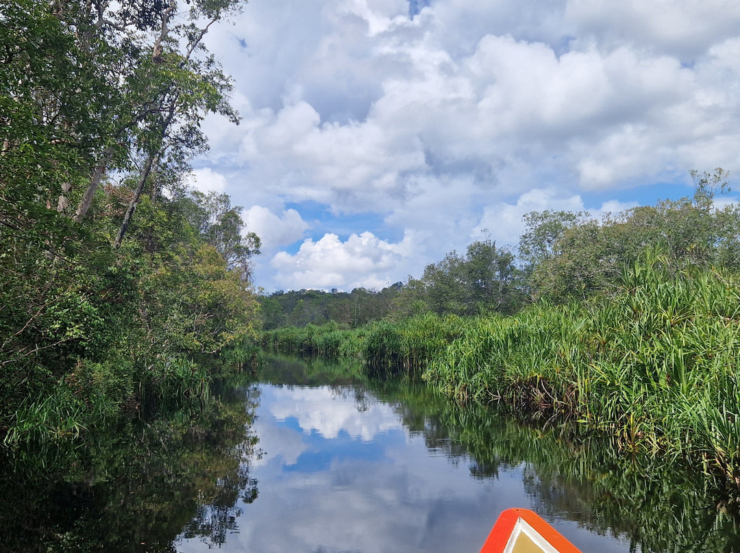 Orangutan Houseboat Tour-Kumai必去景点