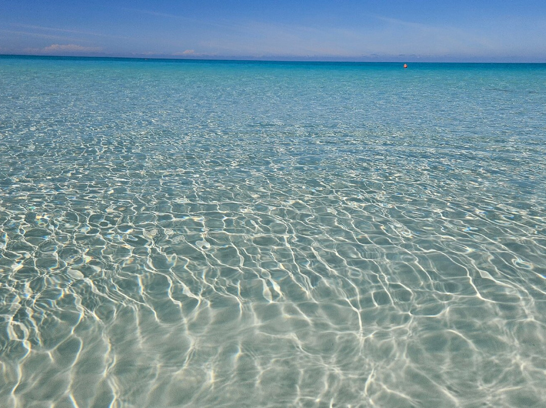 Playa Pilar-Cayo Guillermo必去景点