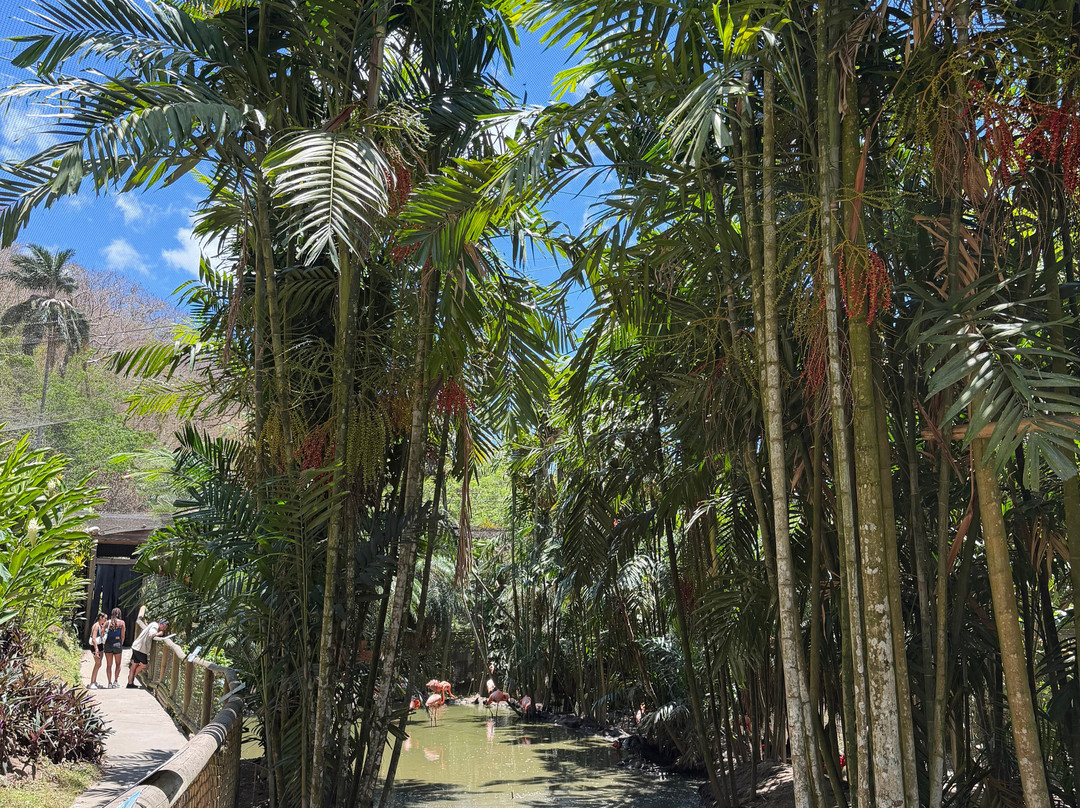 Zoo de Martinique-Le Carbet必去景点
