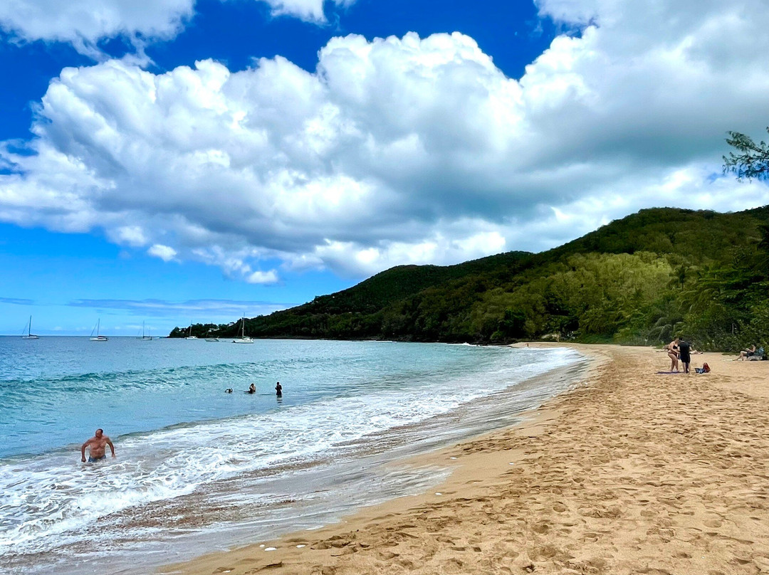 Plage de Grande Anse-Deshaies必去景点