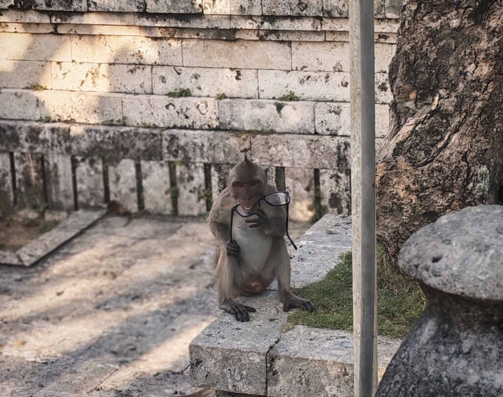 Bali Chauffeur - Day Tours-沙努尔必去景点