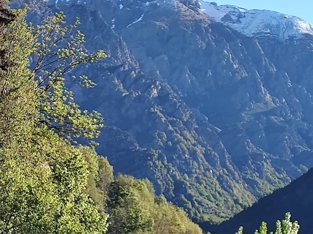 隆切特斯旅馆主图