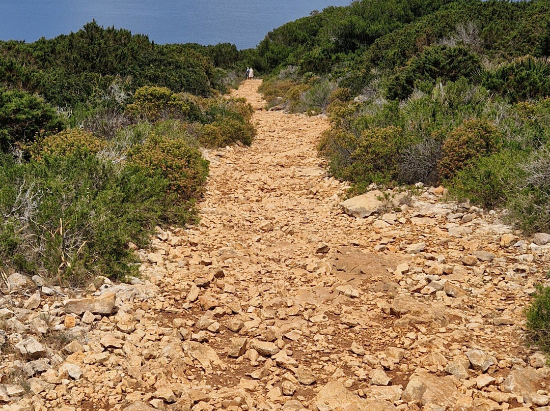 Parco di Porto Conte-阿尔盖罗必去景点