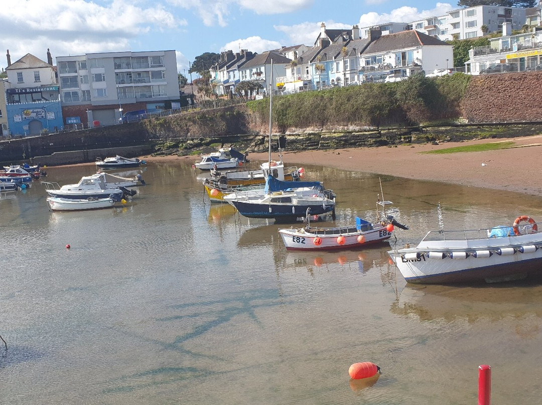 Paignton Harbour-佩恩顿必去景点