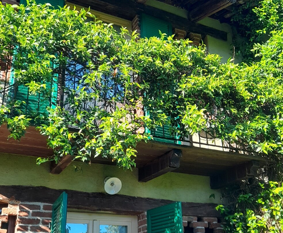 Cà San Ponzio Country House & Spa主图