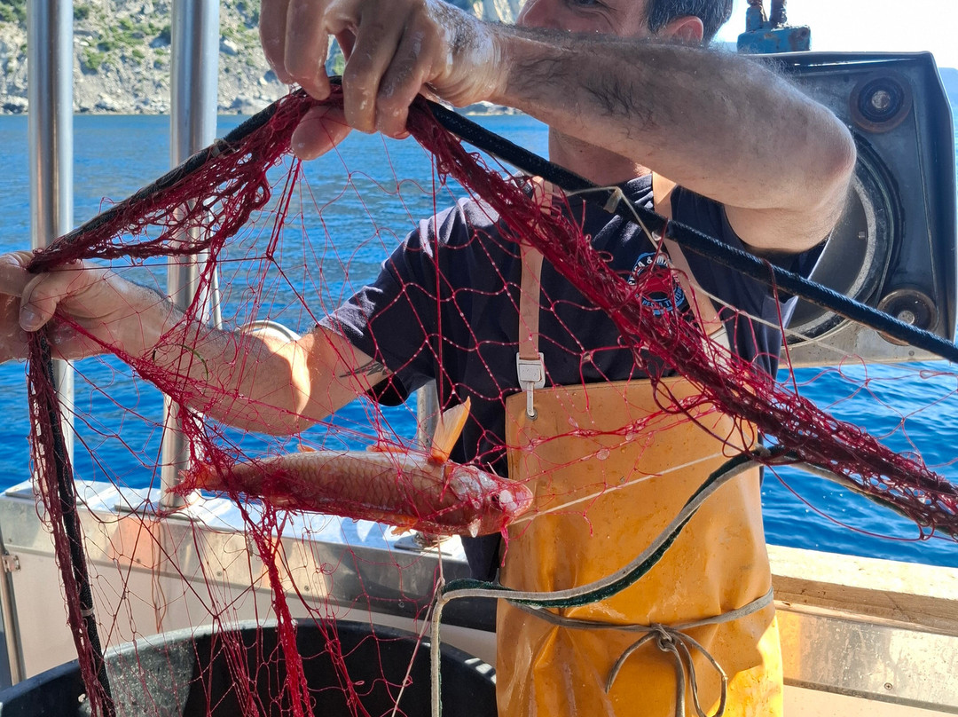 Elba Pesca Turismo-Campo nell'Elba必去景点