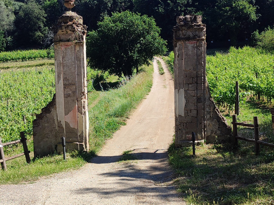 La Ghiandaia - Oasi WWF Bosco di San Silvestro-San Leucio必去景点