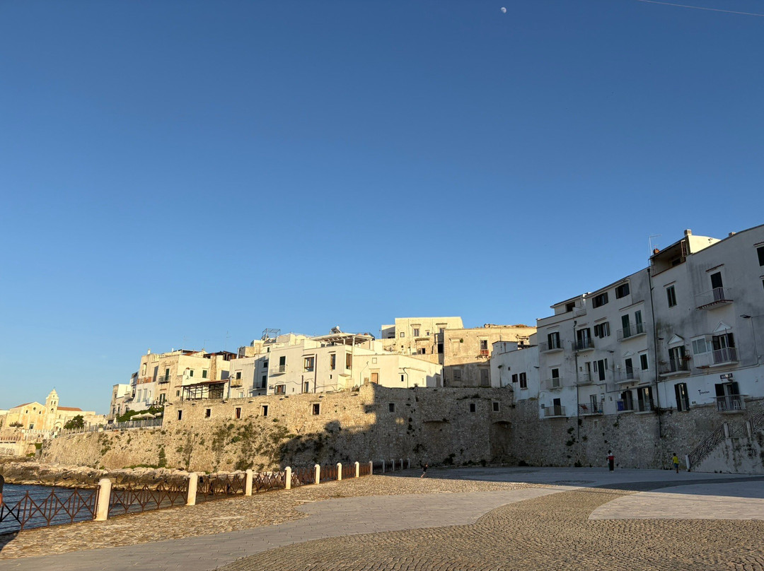 Borgo Antico Di Vieste-维耶斯泰必去景点