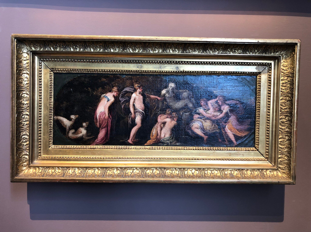 Musée De Picardie-亚眠必去景点