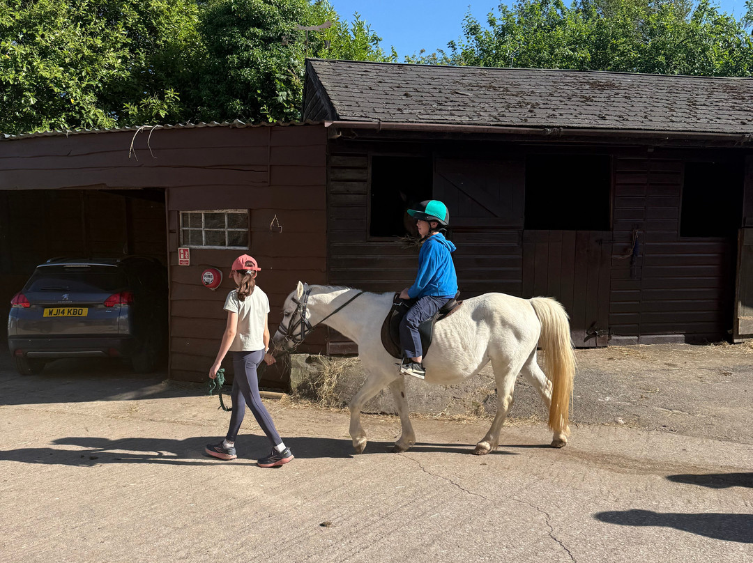 Pine Lodge Riding On Exmoor-Dulverton必去景点