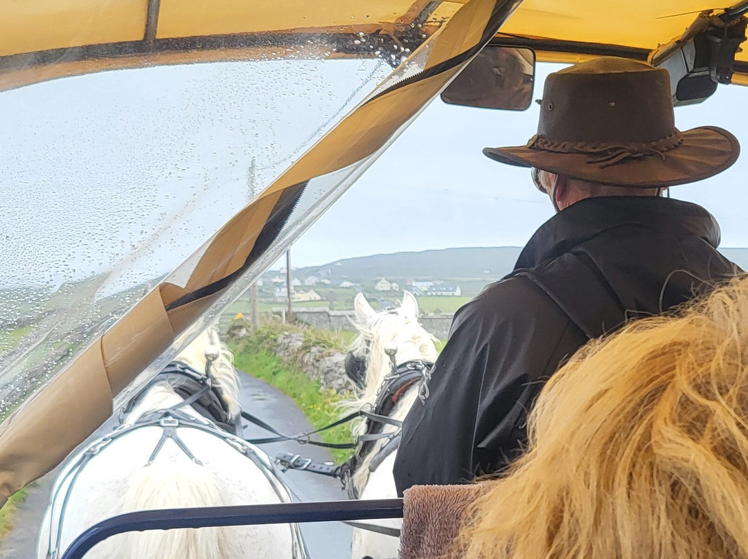 Thomas Faherty Tours-Inishmore必去景点