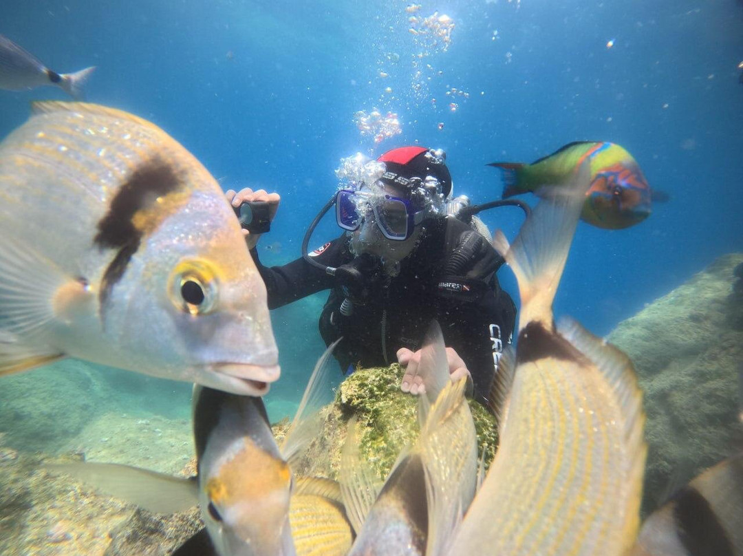 Blue World Diving Center-Tekirova必去景点