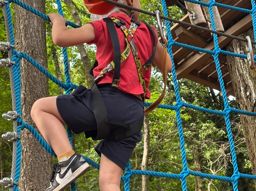 Jungle Raider Park-Albavilla必去景点