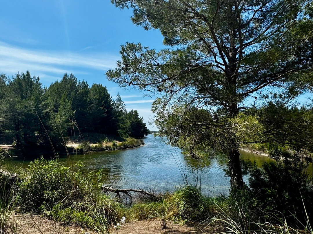 Laguna e Karavastasë-Divjake必去景点